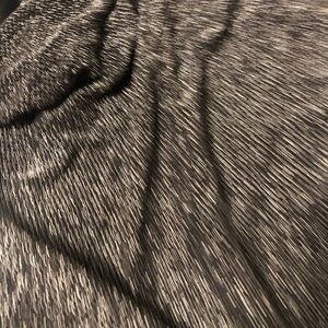 Soho Apparel Sparkle Black & Silver Stretch Skirt